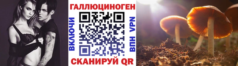 Псилоцибиновые грибы прущие грибы  Новокубанск 